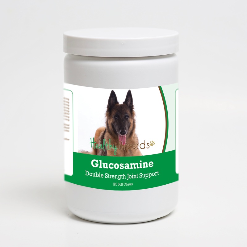 Belgian Tervuren Glucosamine DS Plus MSM 120 Count