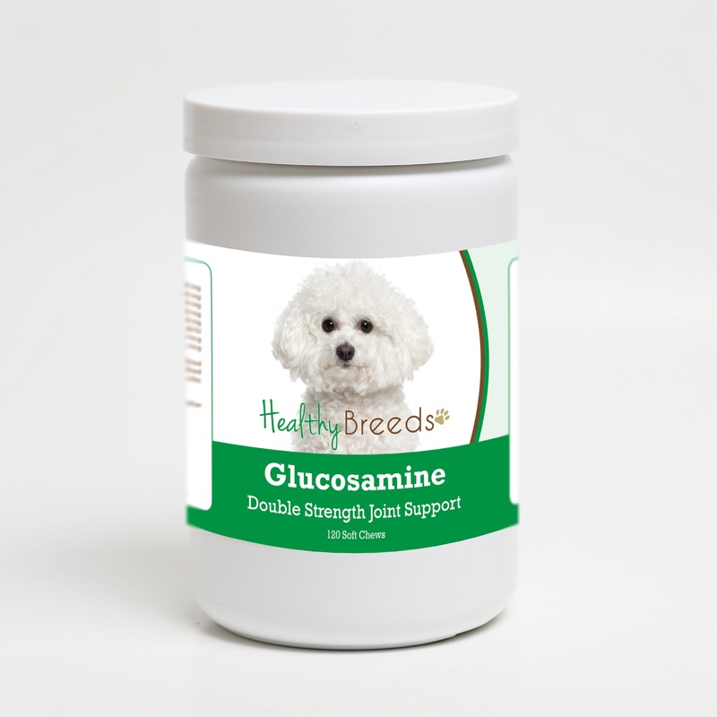 Bichon Frise Glucosamine DS Plus MSM 120 Count