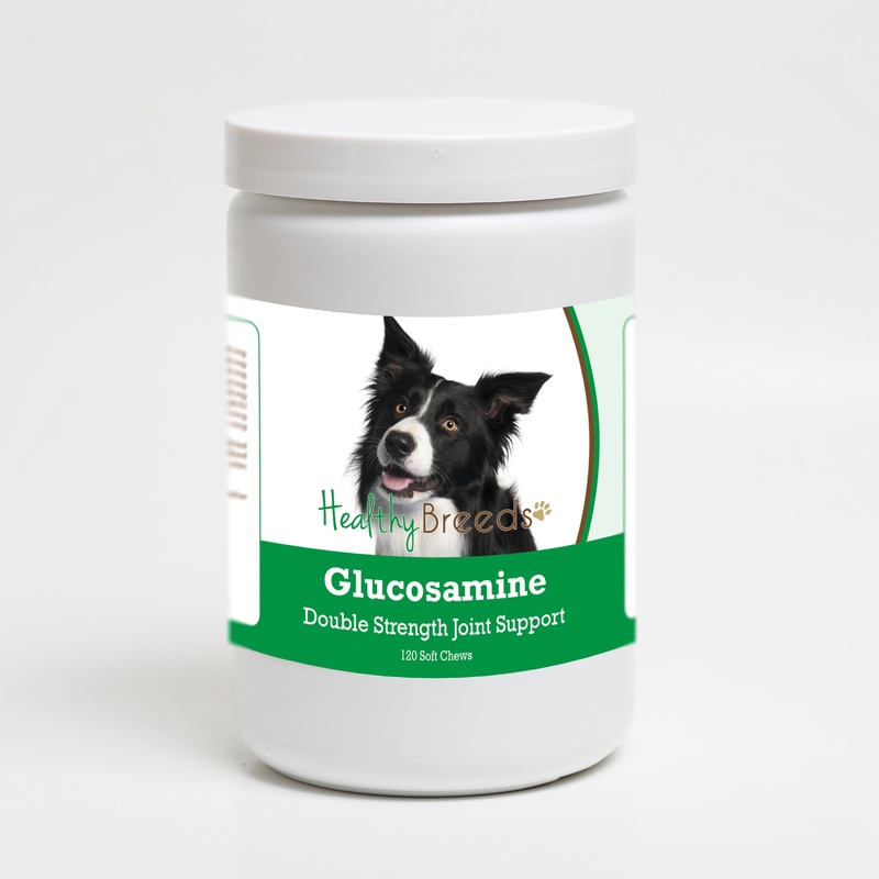 Border Collie Glucosamine DS Plus MSM 120 Count