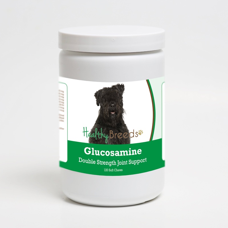 Bouvier des Flandres Glucosamine DS Plus MSM 120 Count