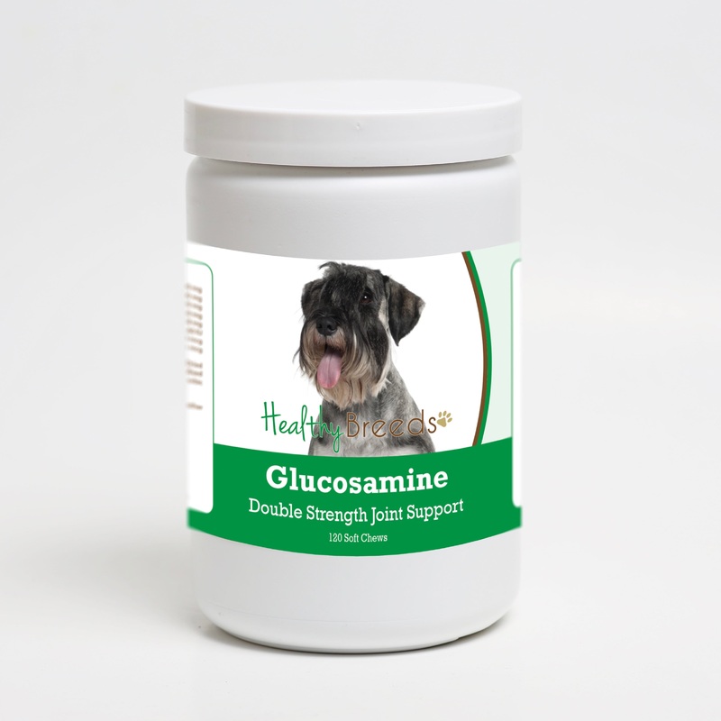 Standard Schnauzer Glucosamine DS Plus MSM 120 Count