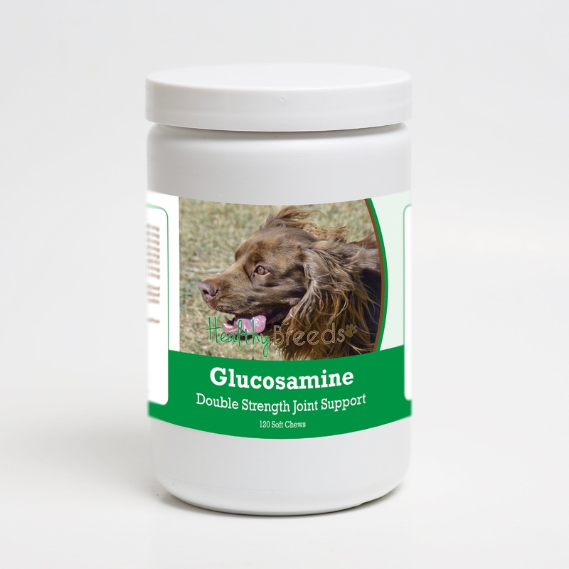 Sussex Spaniel Glucosamine DS Plus MSM 120 Count