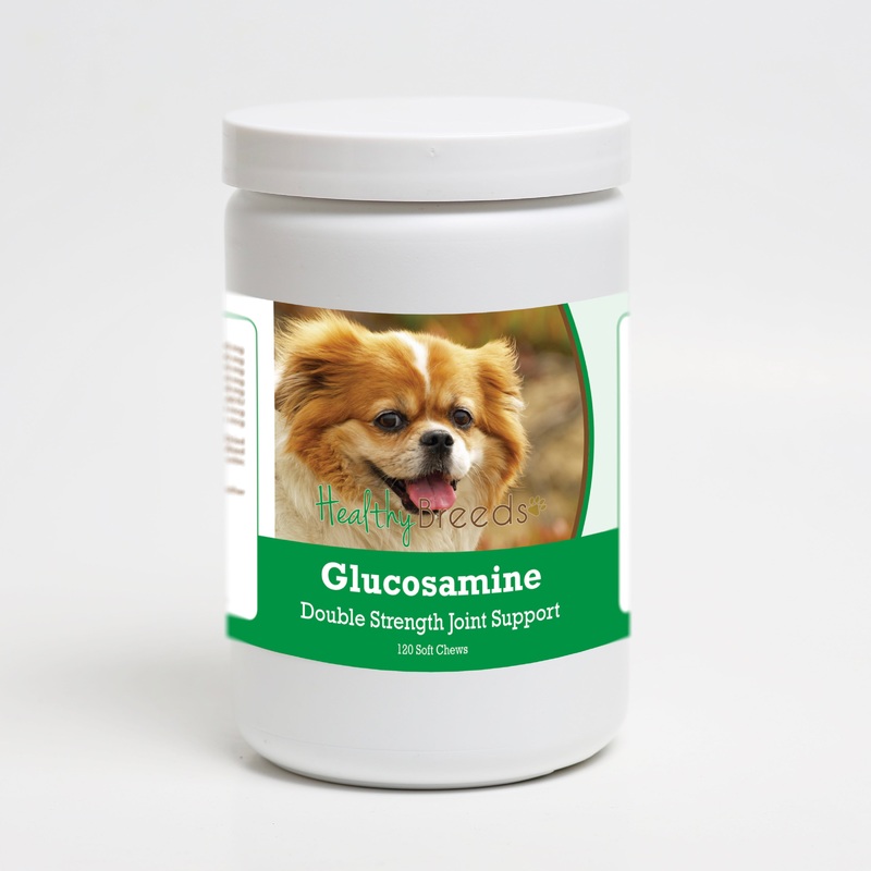 Tibetan Spaniel Glucosamine DS Plus MSM 120 Count