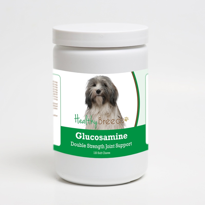 Tibetan Terrier Glucosamine DS Plus MSM 120 Count