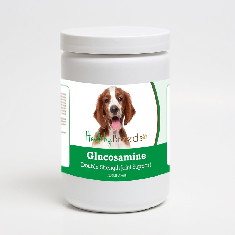 Welsh Springer Spaniel Glucosamine DS Plus MSM 120 Count