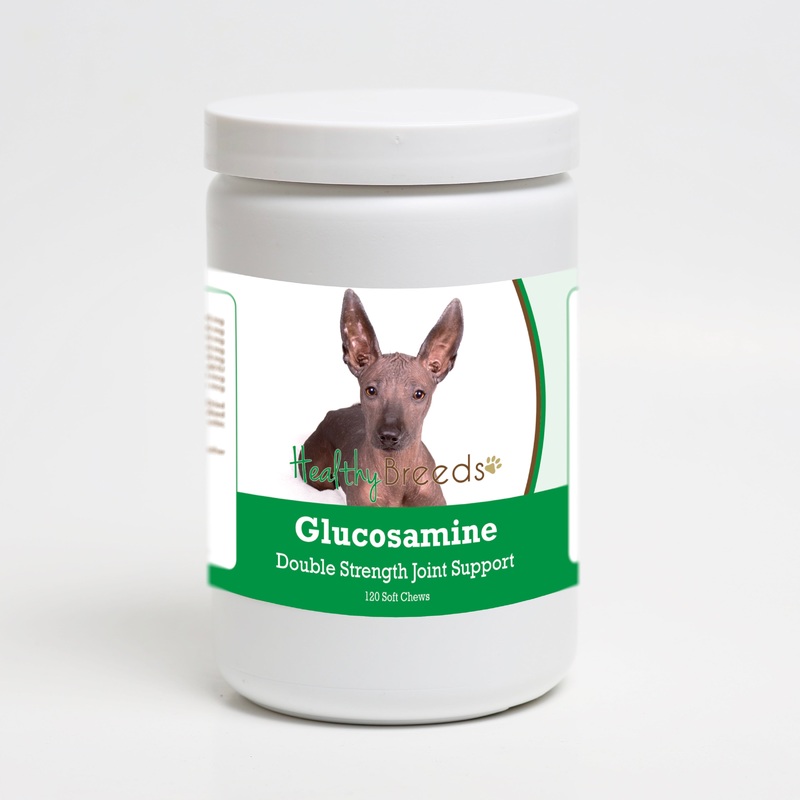 Xoloitzcuintli Glucosamine DS Plus MSM 120 Count