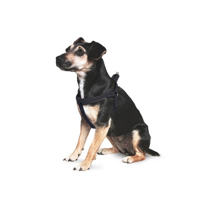 Ancol Relective Padded Harness Black XL