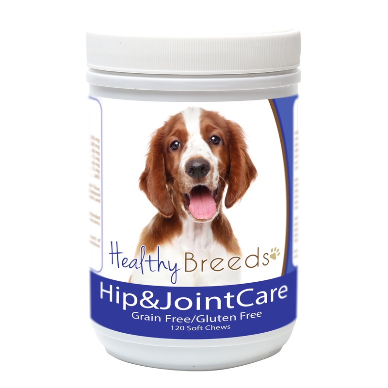 Welsh Springer Spaniel Hip and Joint Care 120 Count