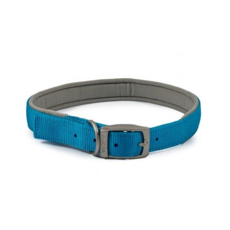 Ancol Viva Padded Collar Size 6 Blue
