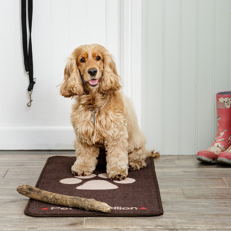 STOP MUDDY PAWS B 45 x 100
