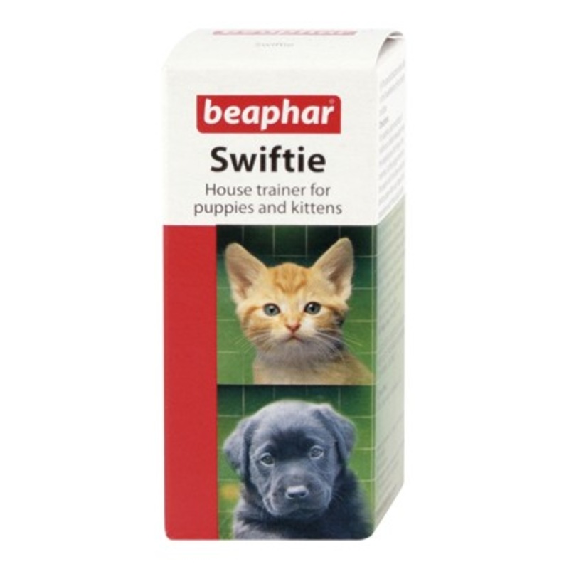 Swiftie Trainer