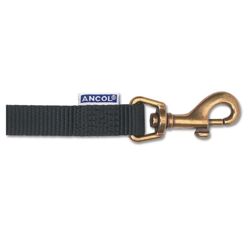 Ancol 1/2"x 40" Nylon Dog Lead 135710