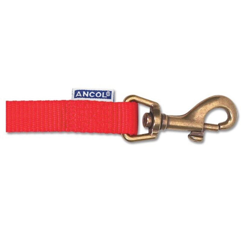 Ancol 1/2"x 40" Nylon Dog Lead Red