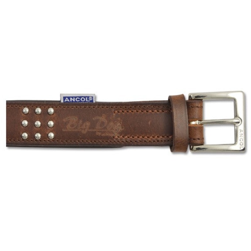 Ancol 28" BIG DOG PADDED LEATHER COLLAR 252874