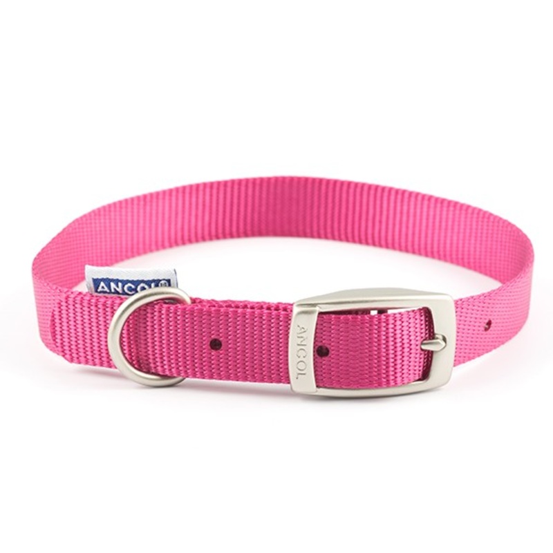 Ancol 45cm Nylon Dog Collar Rasp 310350