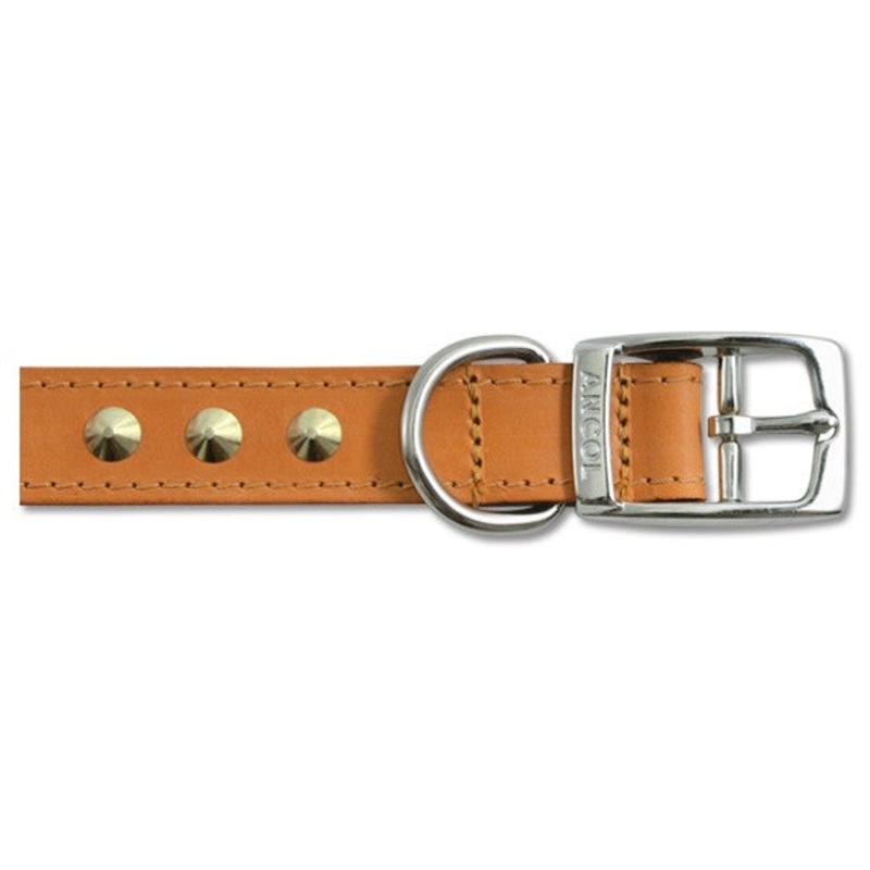 Ancol Dog Collar 21" - 24" Stud Tan