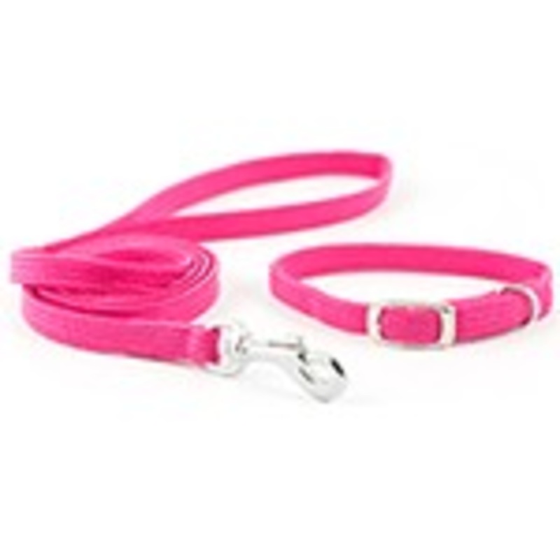 Ancol Nylon Lead 1mt Raspberry 135950