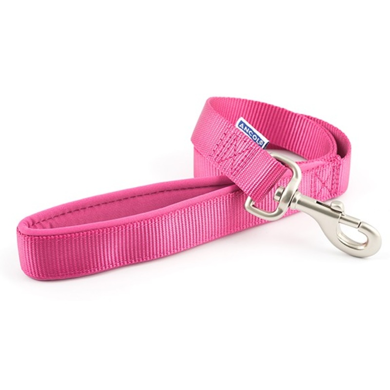 Ancol Nylon Lead 1mt Raspberry 136050