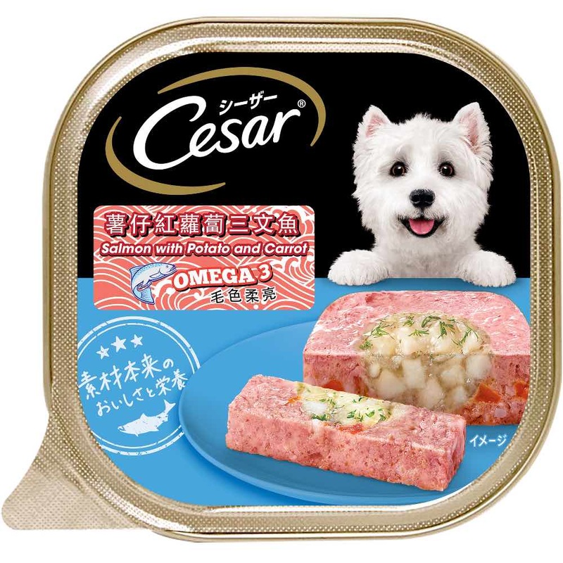 Cesar Salmon With Potato & Carrot Pate Tray Dog Food 100g