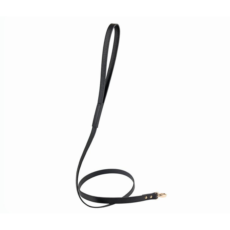 30% OFF: Moshiqa Balley Leather Dog Leash (Black)