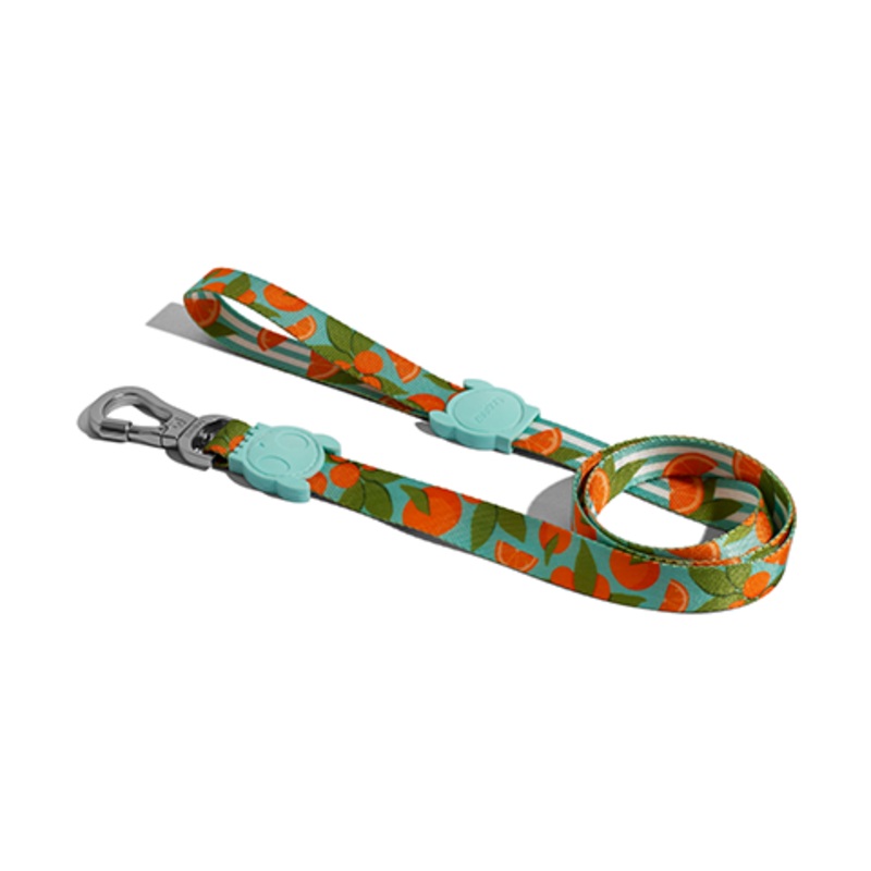 Zee.Dog Dog Leash (Florida)