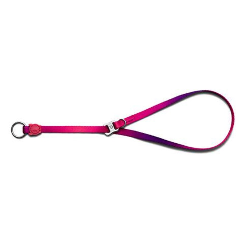 Zee.Dog Obedience Slip Dog Collar (Juno)
