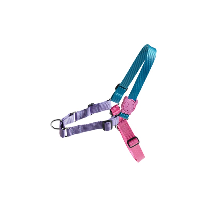 Zee.Dog Soft-Walk Dog Harness (Aurora)