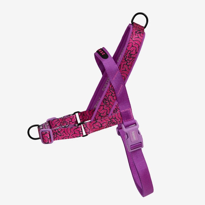 Zee.Dog Brain Softer Walk Dog Harness