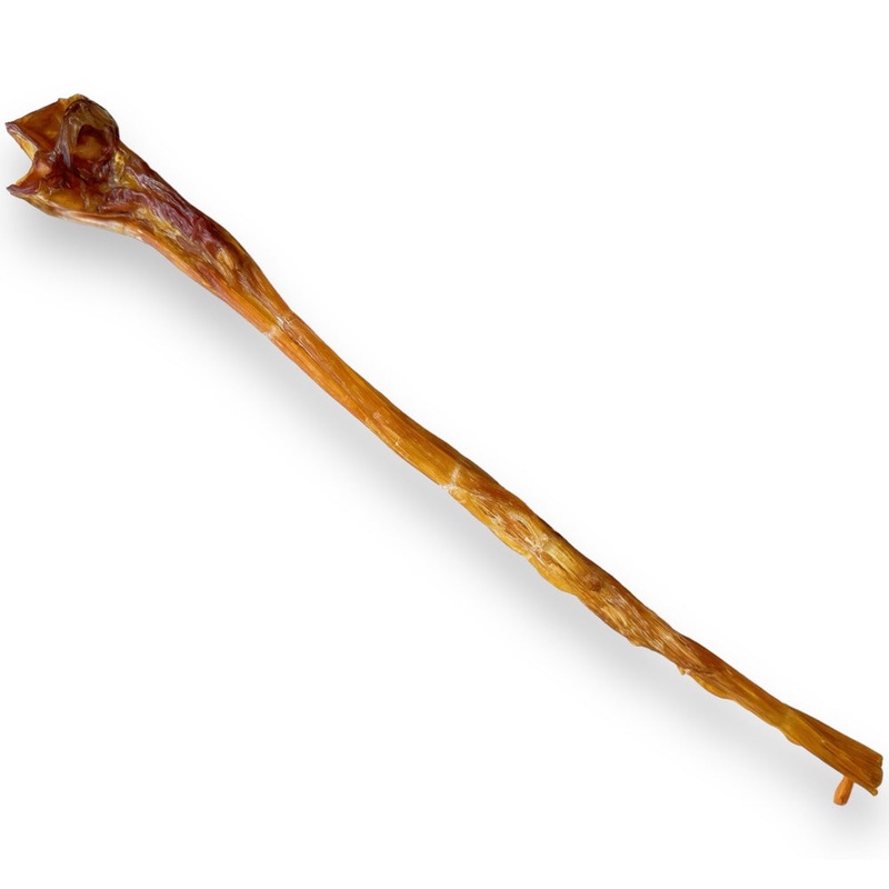 The Source-Sage Club Ostrich Long Tendon Dog Chew 1pc