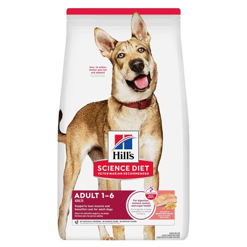 Science Diet Adult Salmon & Brown Rice Dry Dog Food