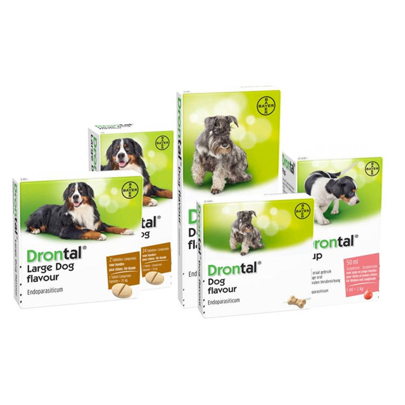 Drontal Wormer for Dogs [Sold per Tablet]