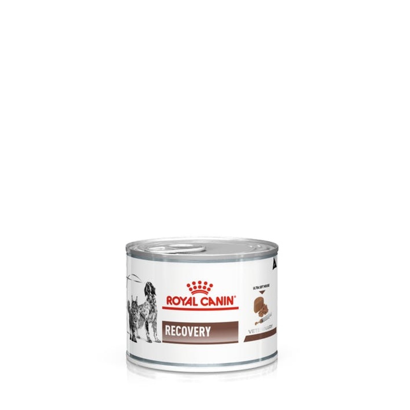 Royal Canin Recovery Canine/Feline Can