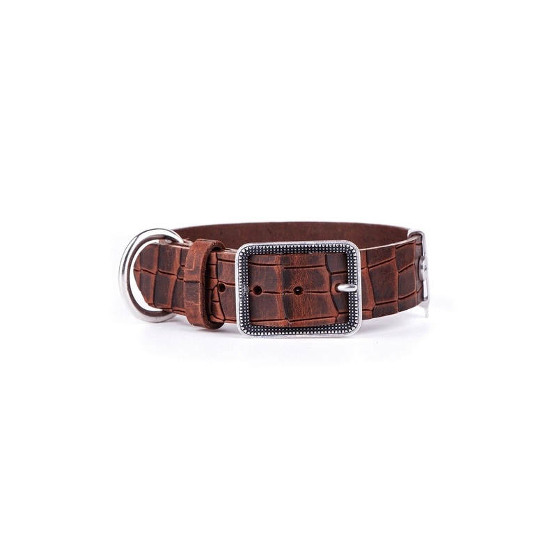 Tucson Dog Collar