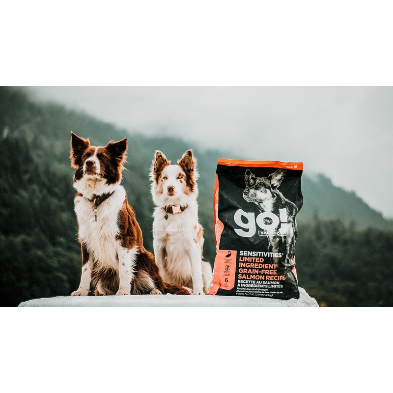 Go Weight Management + Joint Care Salmon Grain-Free Dry Dog Food