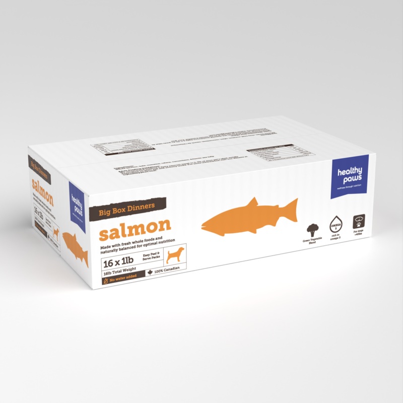 Healthy Paws Salmon  Big Box Dinner
