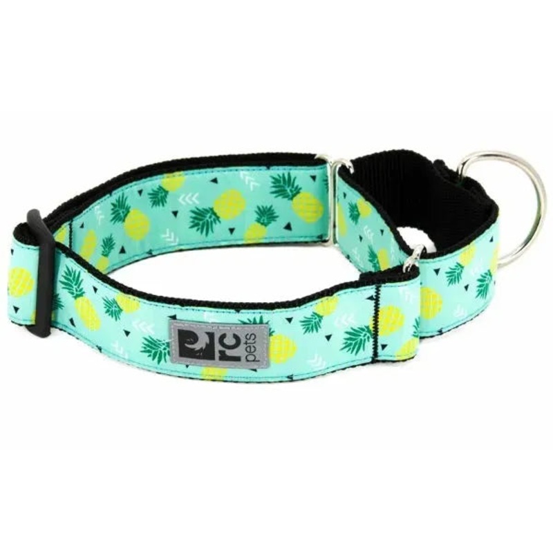 RC Pets All Webbing Training Collar