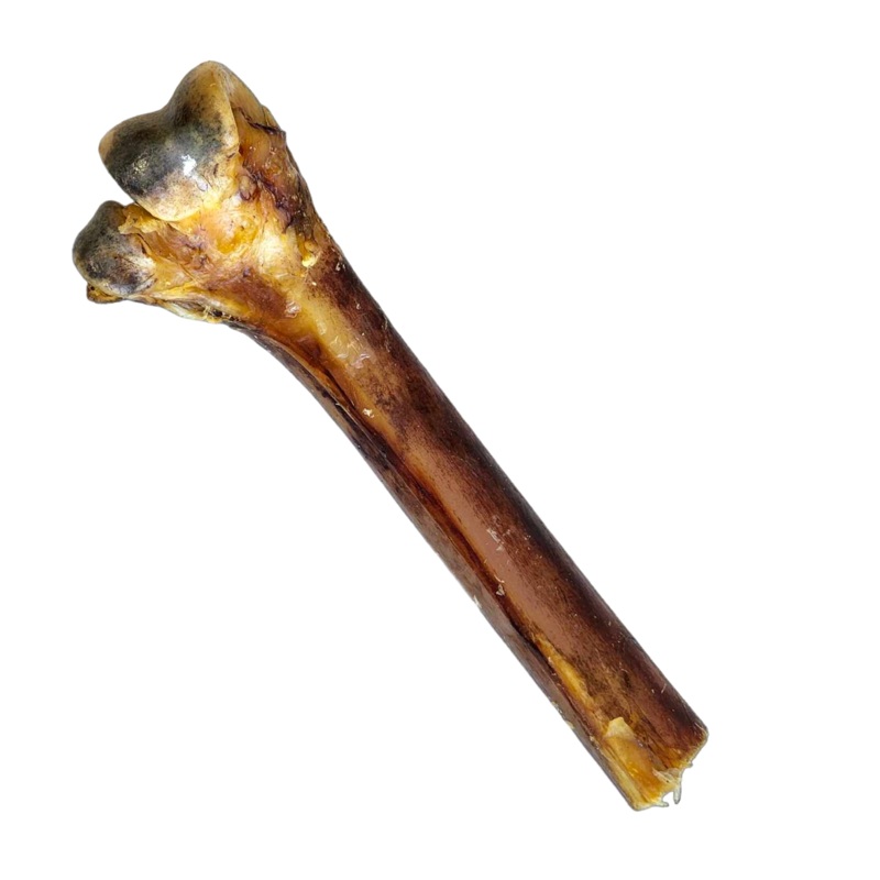 Savannah Ostrich Cane, 3oz