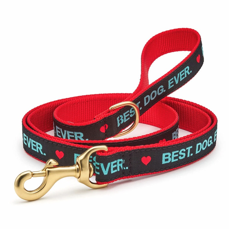 Up Country Wide Best Dog Ever Lead W/D-Ring, 5ft