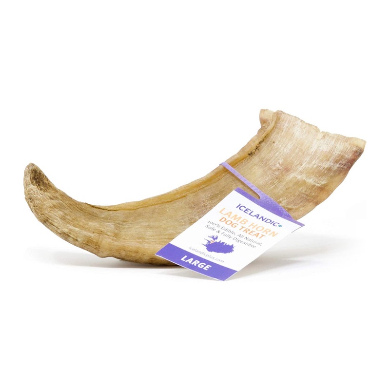 Icelandic+ Lamb Horn for Dogs