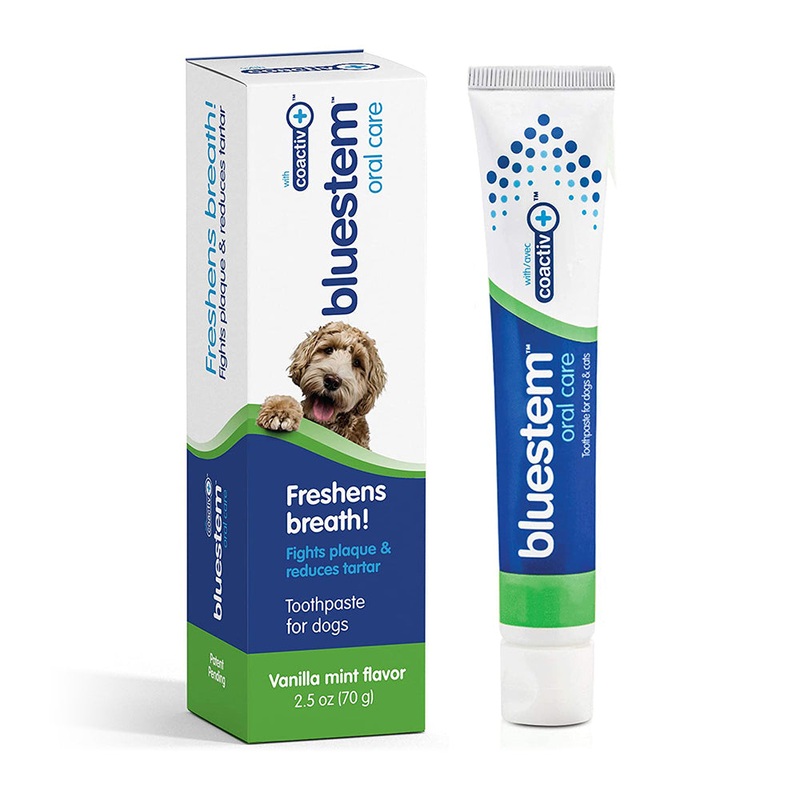 bluestem Vanilla Mint Toothpaste for Dogs
