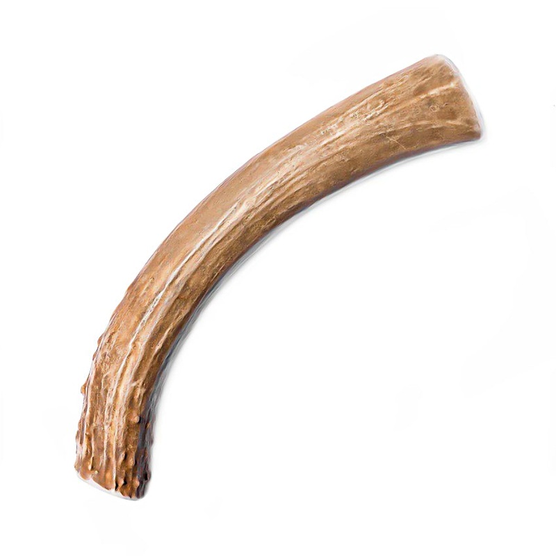 Prairie Antlers XLarge Deer Antler for Dogs