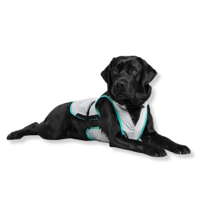 Suitical Dry Cooling Vest