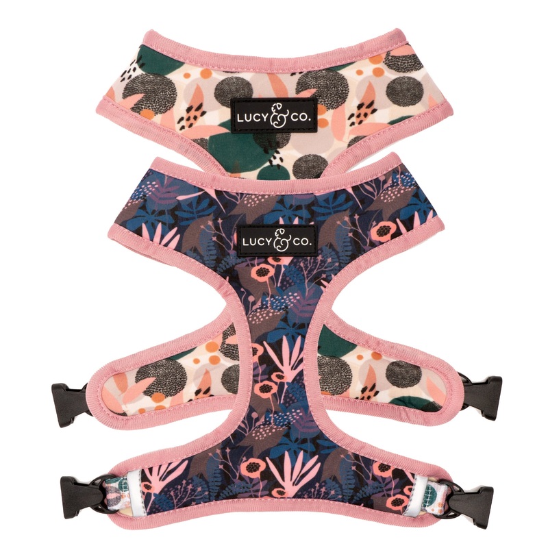 Lucy & Co. Enchanted Forest - Dots & Purple/Pink - Reversible Dog Harness