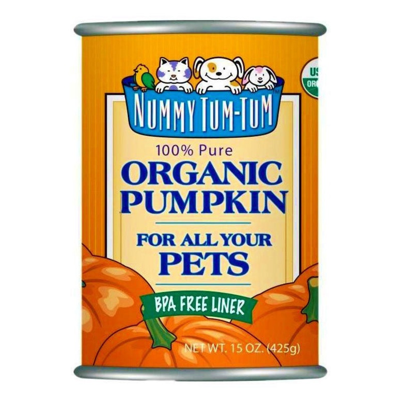 Nummy Tum Tum Organic Pumpkin Supplement Can (15oz/425g)