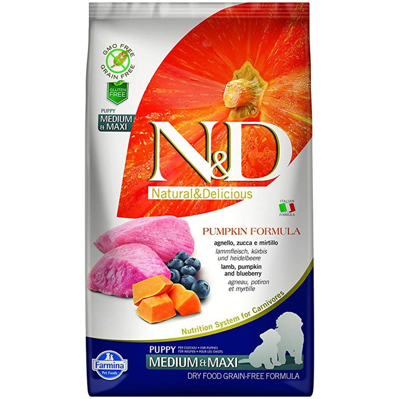 Farmina N&D Pumpkin - Lamb & Blueberry Med/Maxi PUPPY GF Dog Food