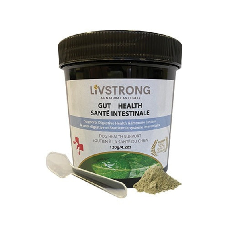 LIVSTRONG Gut Health Dog Health Support Supplement (4.2oz/120g)