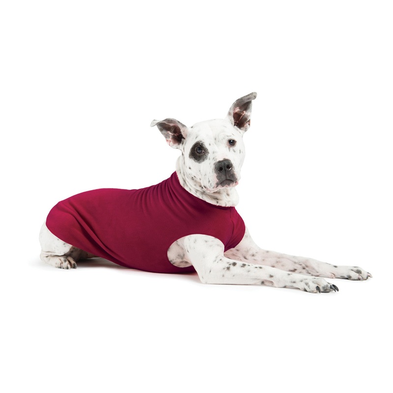 Gold Paw Series - Stretch Fleece for Dogs