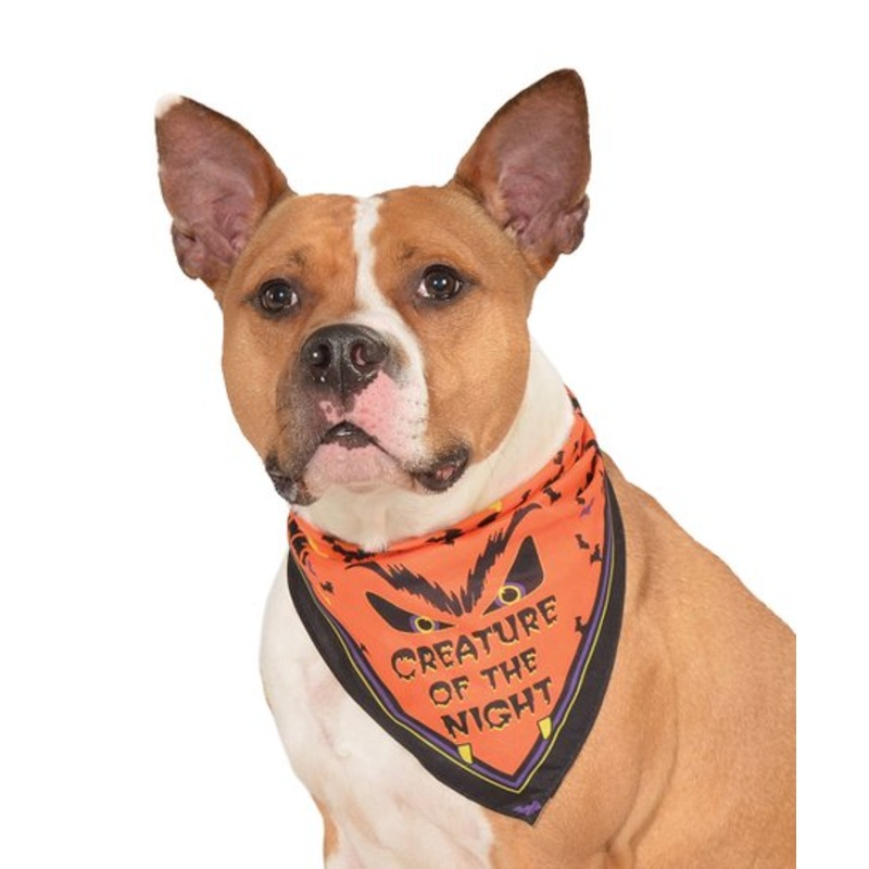 Rubie's Costume Co. "Creature of the Night" Halloween Bandana