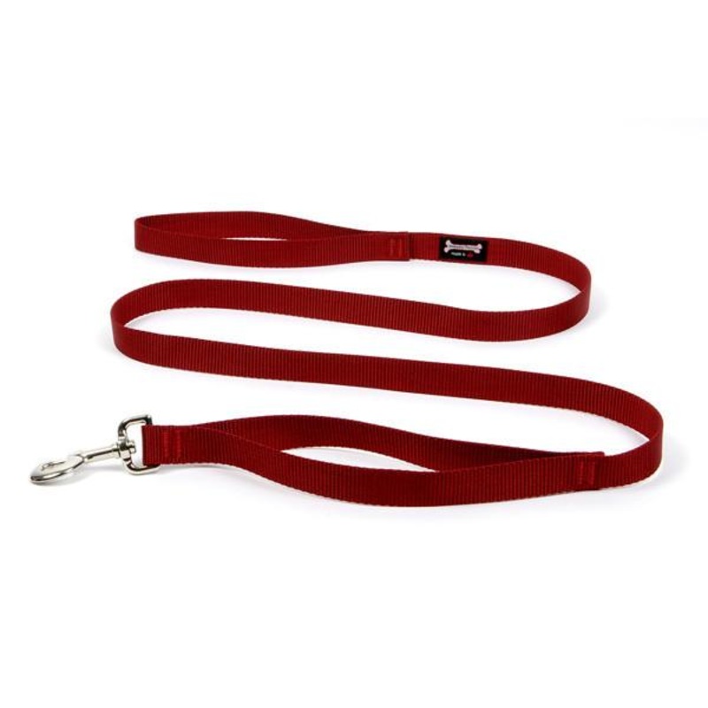 Smoochy Poochy Nylon Regular Style Leash