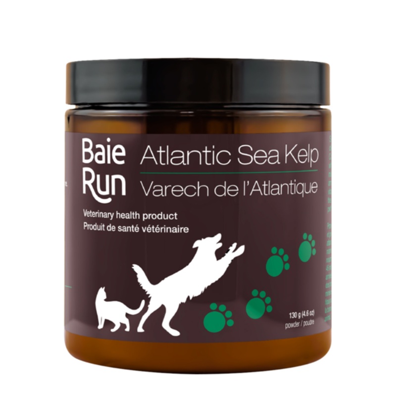 Baie Run Atlantic Sea Kelp